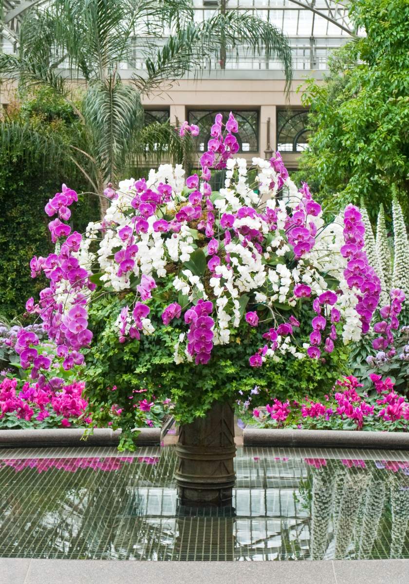 Flower Arrangement at the Longwood Gardens in Wilmington, DE