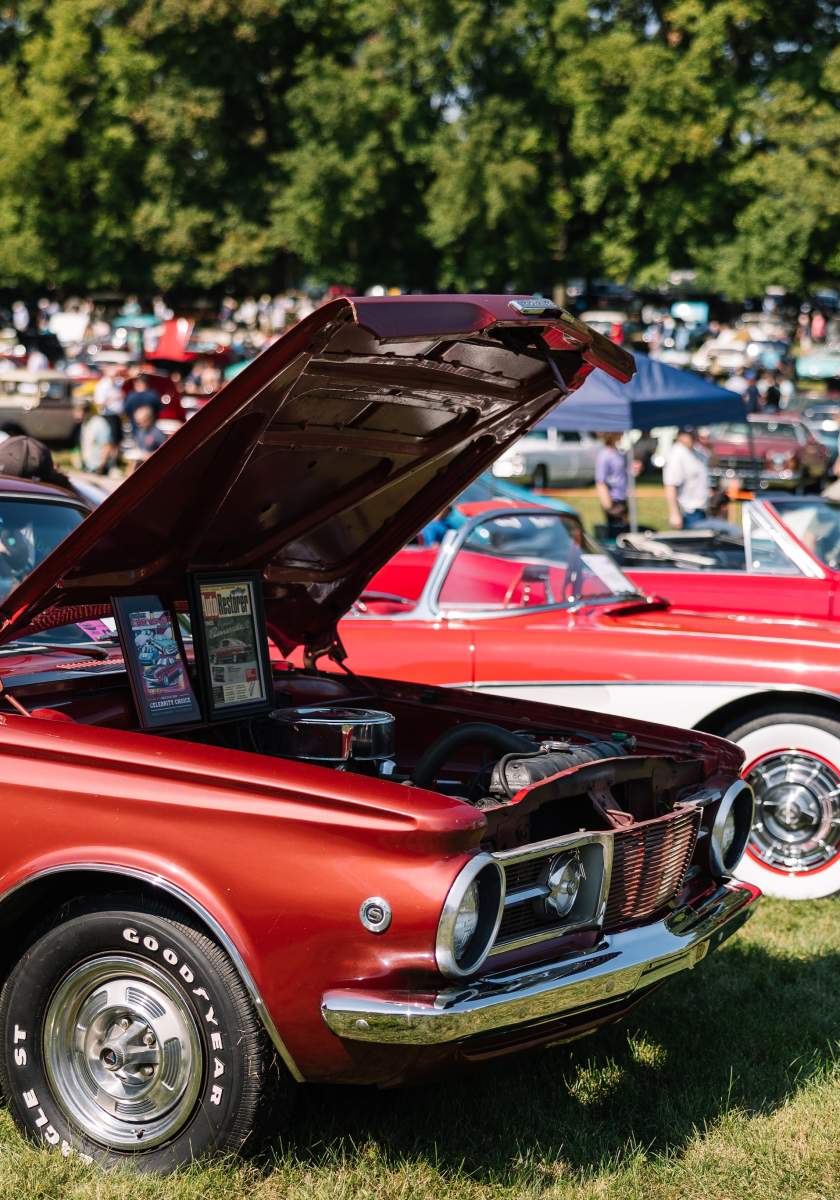 Hagley Car Show