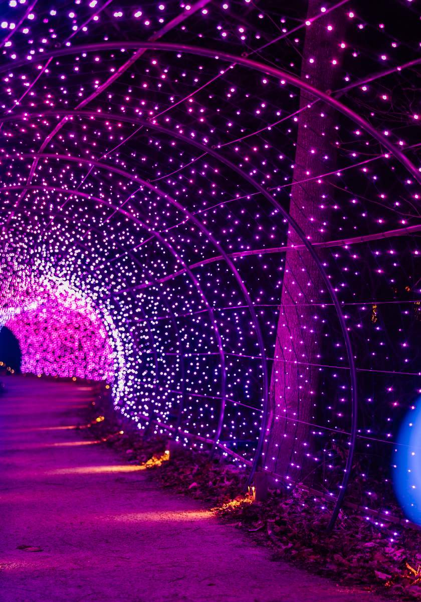 LW Christmas Light Tunnel