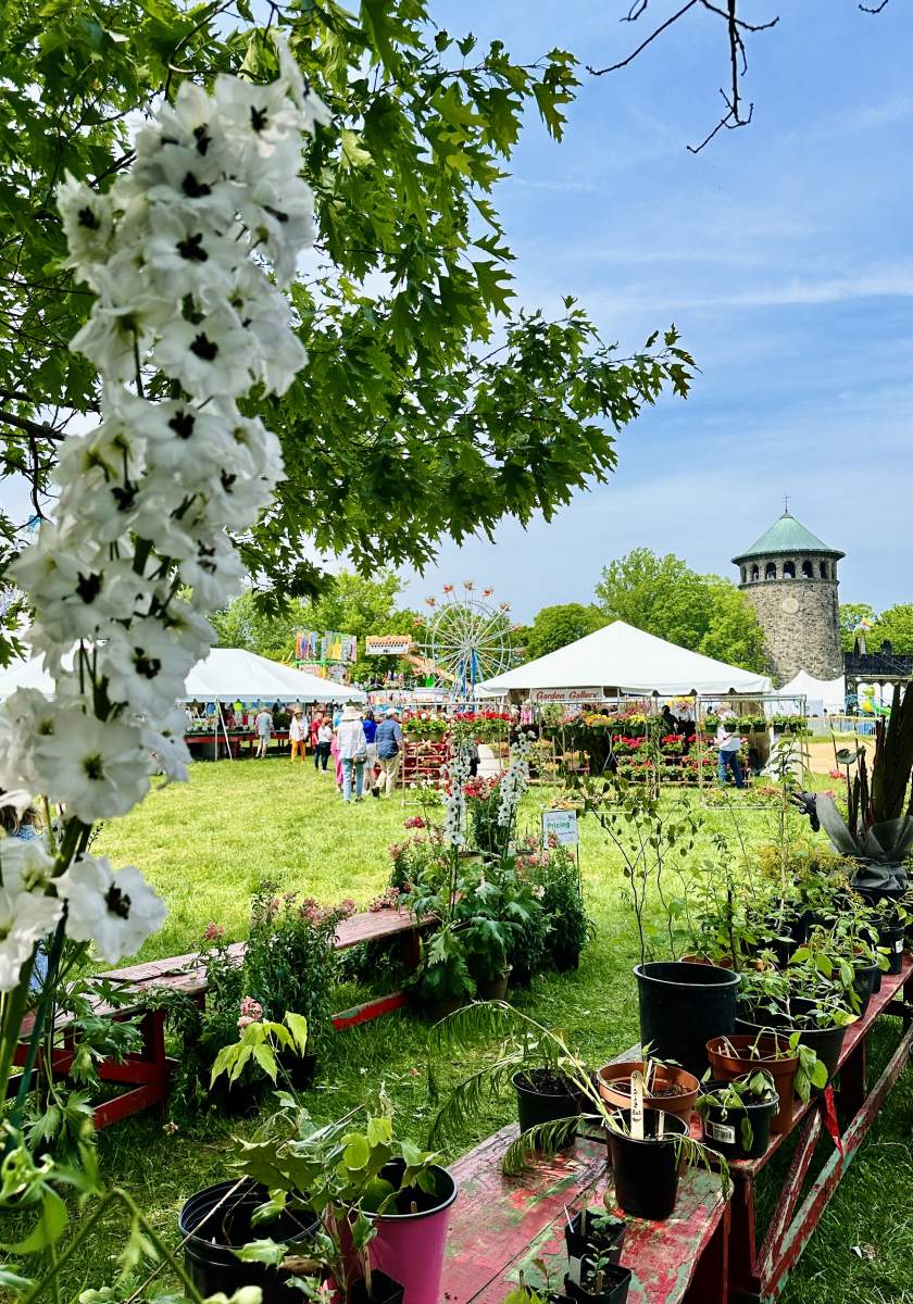 Wilmington Flower Market - UGC