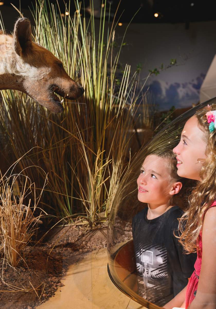 Delaware Museum of Nature & Science