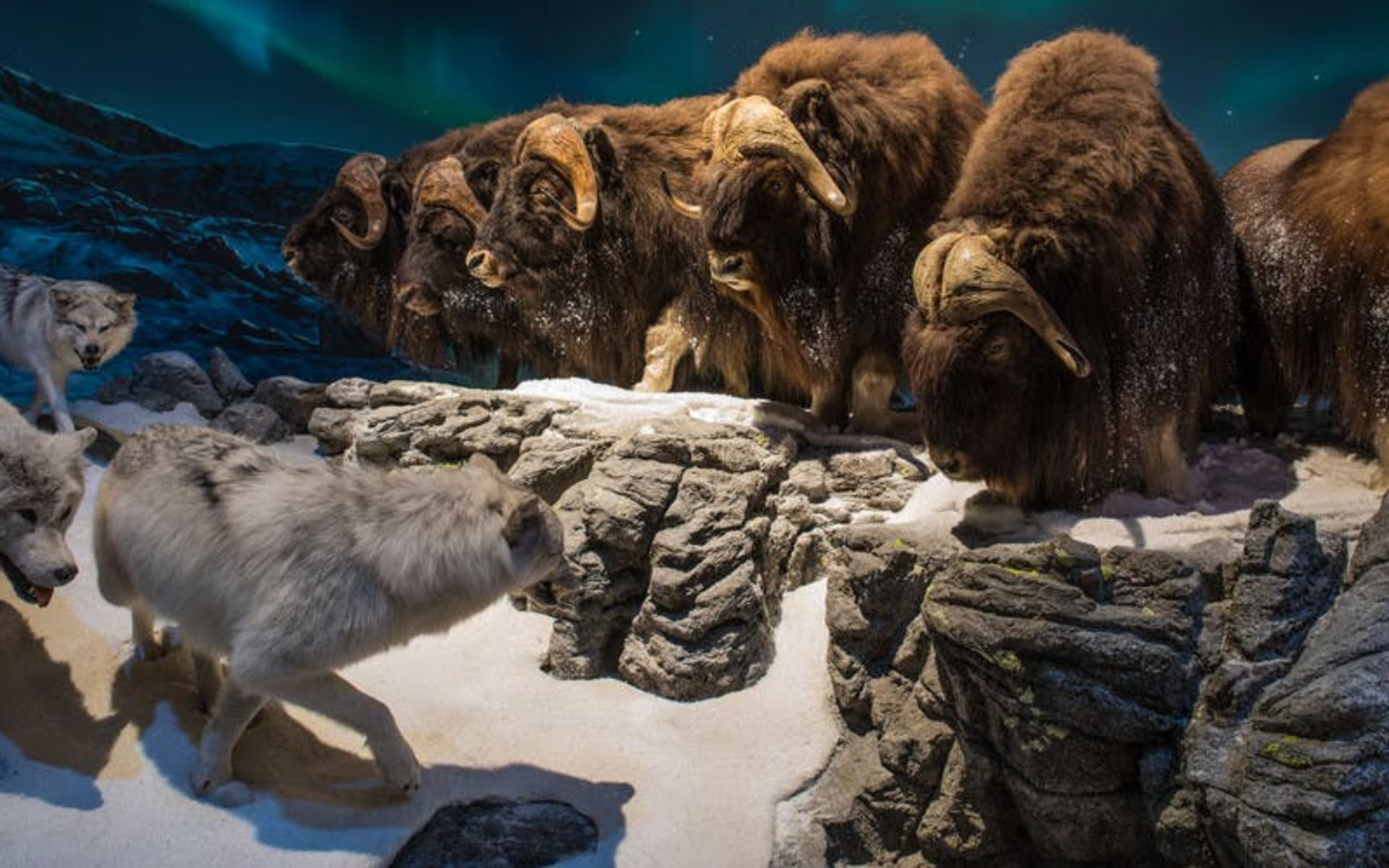 Wonders of Wildlife National Museum & Aquarium in Springfield, Missouri.
