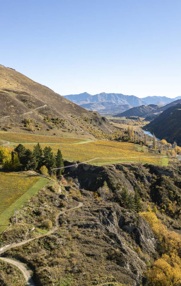 Overview of Gibbston in autumn with orange vineyards with mountains in the background and river flowing through the middle
