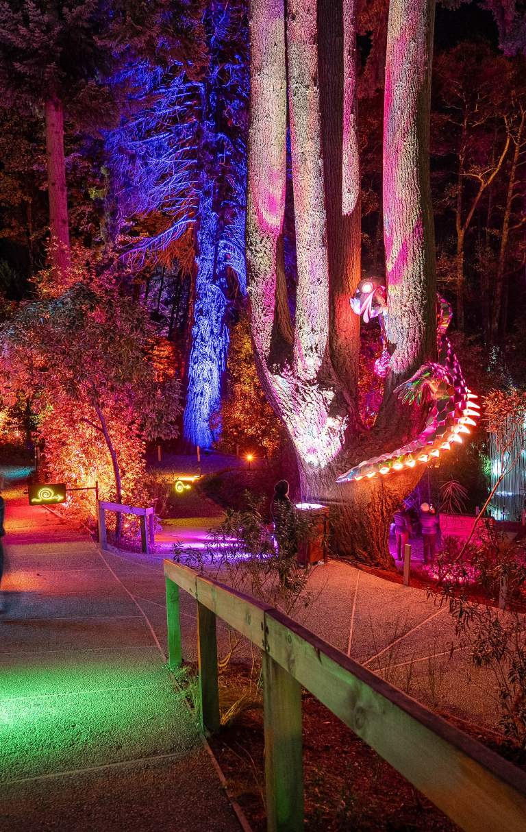 LUMA Enchanted at the Queenstown Kiwi Park