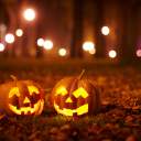 Haunted Happenings and Halloween Highlights