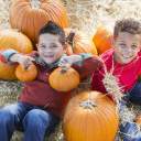 Celebrate the Season: Top Fall Festivals