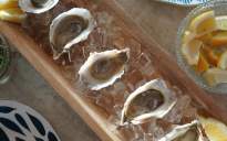 Clear Water Oysters