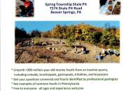 Community Fossil Dig