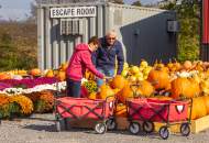 Fall Fun At Northhill Orchard!