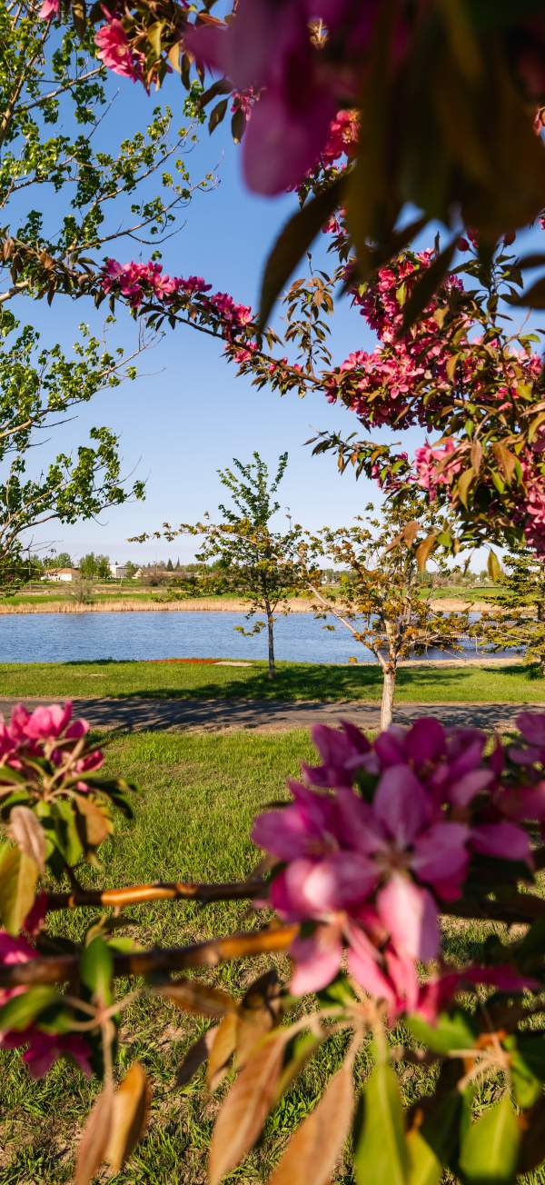 Ruger Park Fishing Pond
