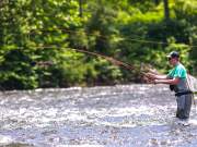 A man fly fishing on Esopus river