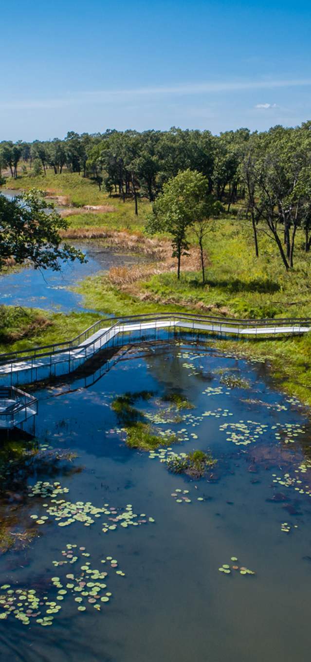 A boardwalk snakes over a wetland between two wooded areas