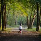 child riding his bike on a Cincinnati bike path through the woods