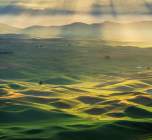 Palouse photography