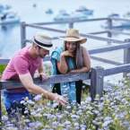 Discovering Rottnest Island's Wildflower Wonders: A Day Trip Guide