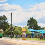 10 unique things to do in Whiteman Park