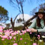 Two-Day Wildflower Adventure in the Avon Valley