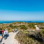 Walks & Hikes in Rockingham: Family‑Friendly Loops to Full‑Day Adventures