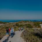 Walks & Hikes in Rockingham: Family‑Friendly Loops to Full‑Day Adventures