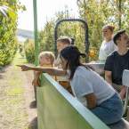 Best places to pick your own fruit in Perth