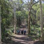 Trails, Tranquility or Thrills: Choose Your Own Adventure in Nature-Packed Mundaring