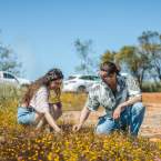 Destination Perth Launch New Wildflower Campaign