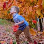 An Autumn Day in the Perth Hills
