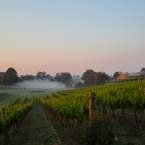 Sittella Winery's Yuri Berns named finalist in Young Gun of Wine Awards