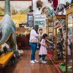 Things to Do in Guildford