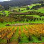 Perth Hills in All Four Seasons: Best Times to Visit & Things to Do