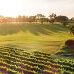 Escape to the Swan Valley