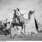 Discover the Sikh and Indian Heritage Trails with Great Southern Outback Tours