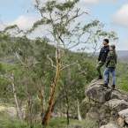 10 Hikes in the Perth Hills you can do before Lunch