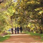 Perth Hills Mundaring Visitor Centre