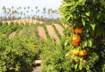Riverside County: Your Next Roadtrip Destination