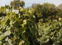 The Finale of the 2026 Norton Wine Tour