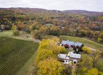 Sip & Celebrate: October is Virginia Wine Month