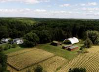 Discover Virginia’s Native Grape at the Norton Wine Showcase in Prince William