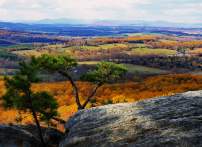 Picture-Perfect Fall: Where to See Autumn’s Best Views in Prince William