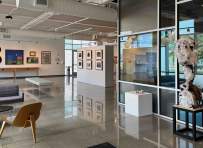 Framing/Reframing Permanent Collection Exhibition