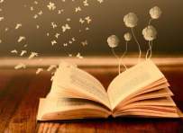 Book Lover's Club