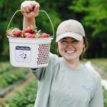 Pick Your Own Strawberries at These York County Farms