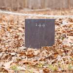 African American Sites to Visit in York County, South Carolina