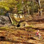 2 York County Parks in 1 Day: How to Explore Kings Mountain State + Kings Mountain National Military