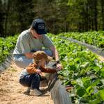 Spring Returns to the Farm: Agritourism Season Kicks Off Across York County