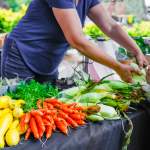 What’s Blooming, Brewing, and Buzzing: Your Late Summer Guide to York County Agritourism