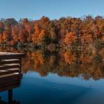 Top Spots for Fall Foliage in York County, South Carolina