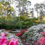 York County Spring Bucket List