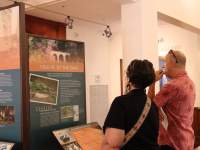 man and woman view a display at a museum