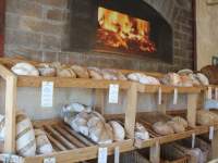 bread at a bakery